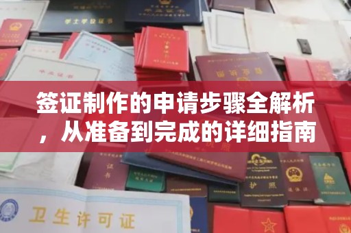 白河签证制作的申请步骤全解析，从准备到完成的详细指南