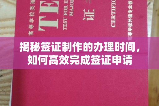 白河揭秘签证制作的办理时间，如何高效完成签证申请