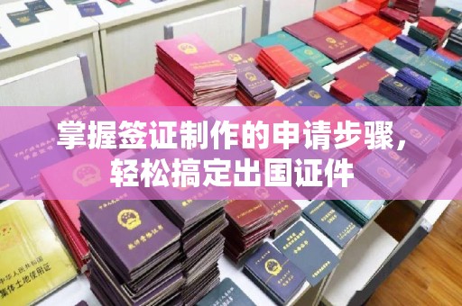 白河掌握签证制作的申请步骤，轻松搞定出国证件