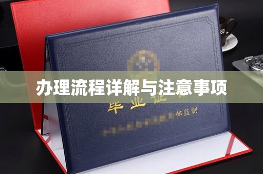 白河办理流程详解与注意事项